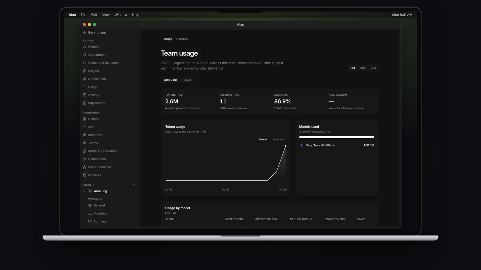 A team's usage page in Alan settings