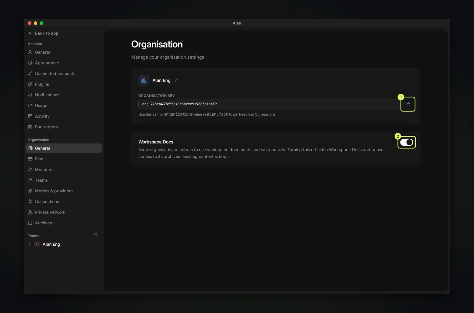 The Organisation general settings with the organisation name and icon, the organisation key with a copy button, and the Workspace Docs switch turned on.